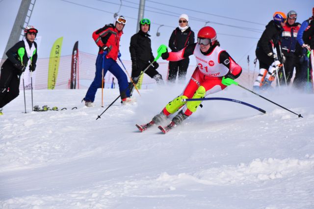 CSC_6805.jpg