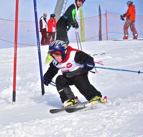 CSC_6746.jpg