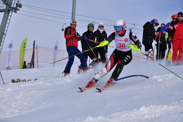 CSC_6819.jpg