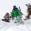 IMG 7960