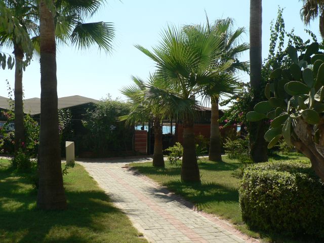 P1070076