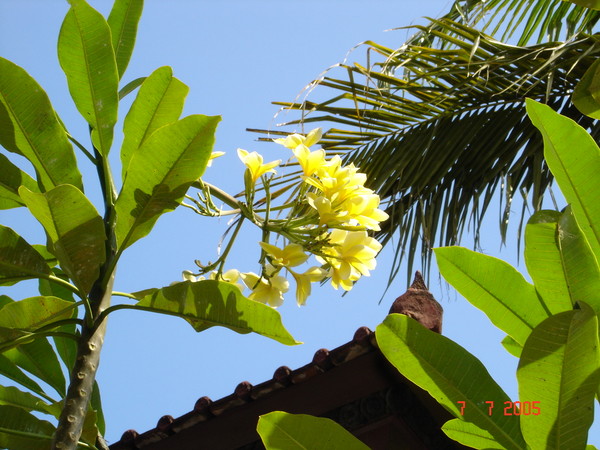 DSC01998