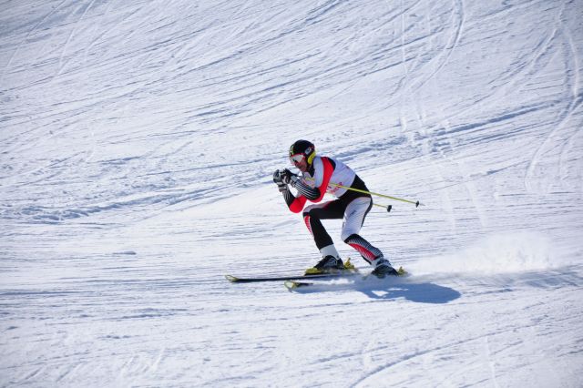 CSC_8463.JPG