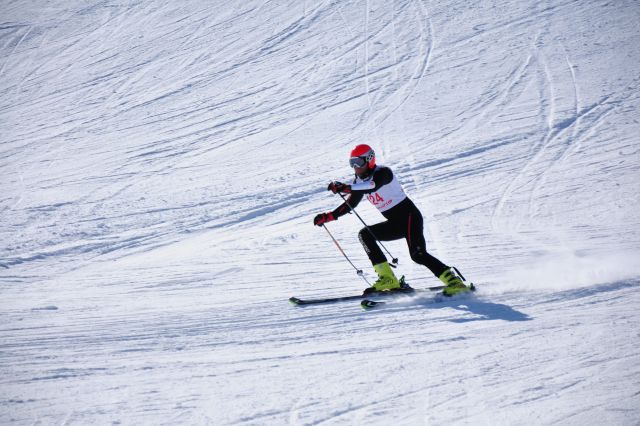 CSC_8469.JPG