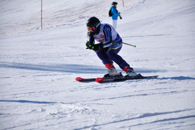 CSC_8339.JPG