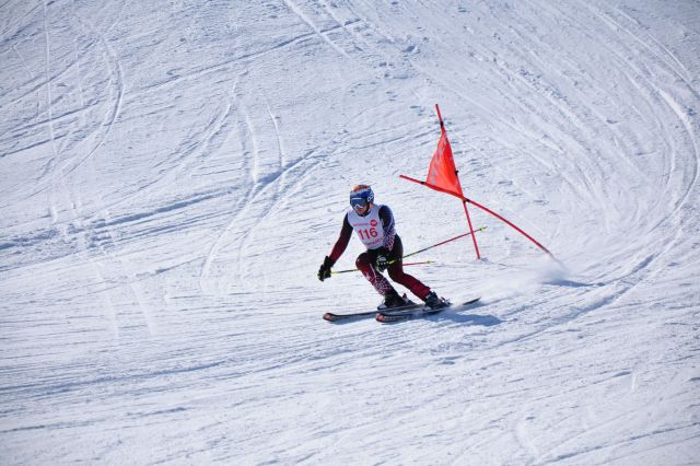 CSC_8462.JPG