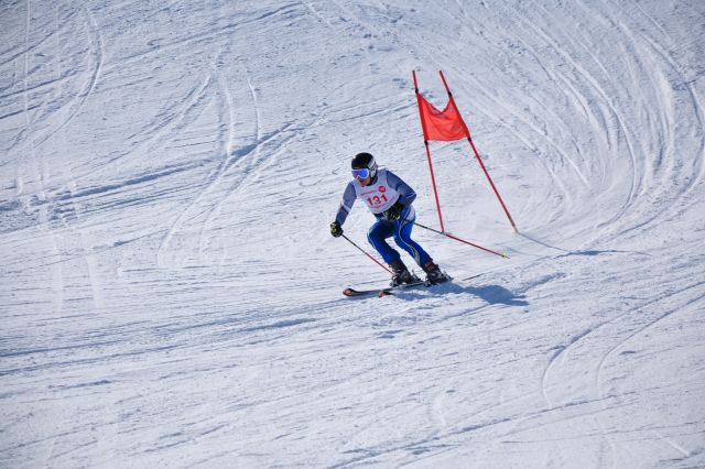 CSC_8475.JPG