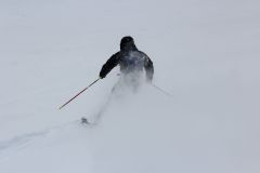 IMG 5341