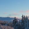 IMG 8678