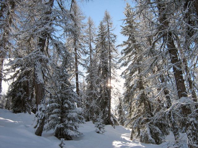Peisey-Vallandry
