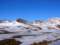 IMG_2459.JPG