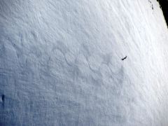 IMG_2764.JPG
