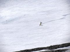 IMG_2833.JPG