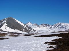 IMG_2403.JPG