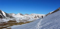 IMG_2428_2.jpg