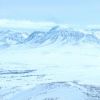 IMG 6895
