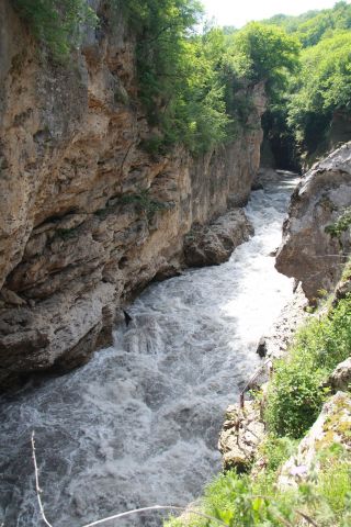IMG 0687