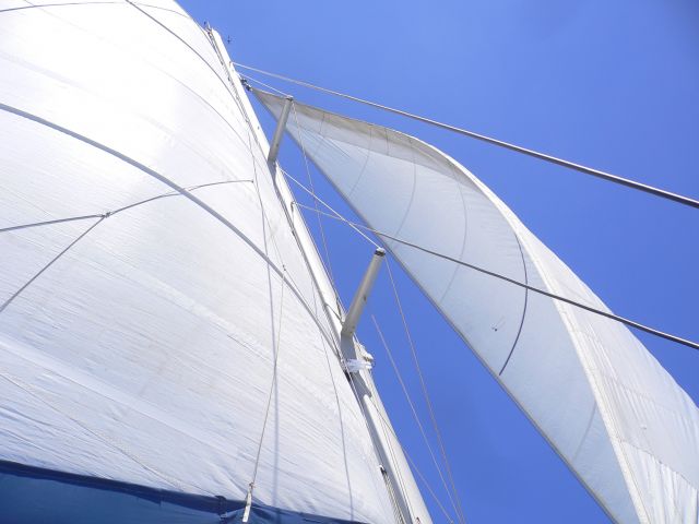 P1170226.JPG