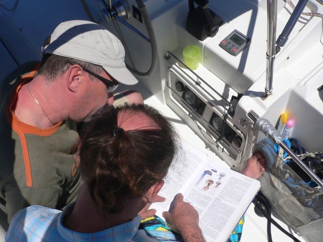 P1170231