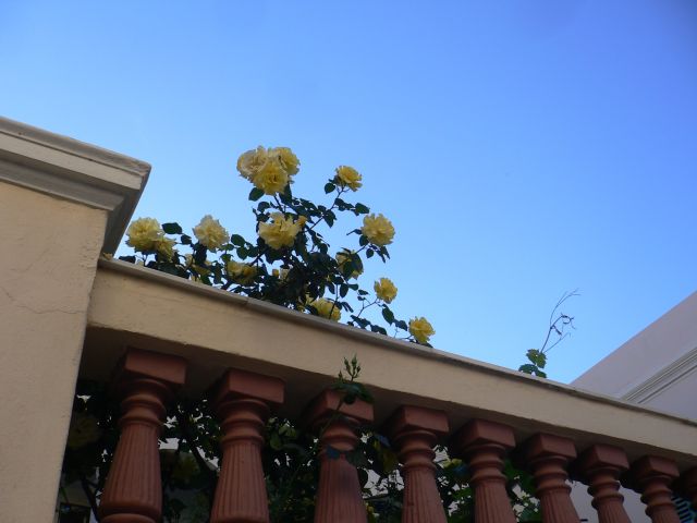 P1170281