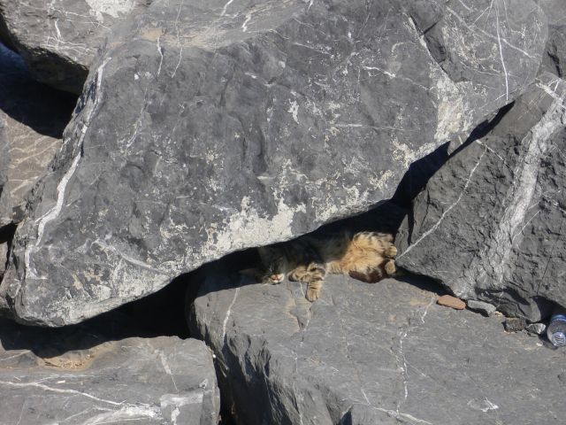 P1160907