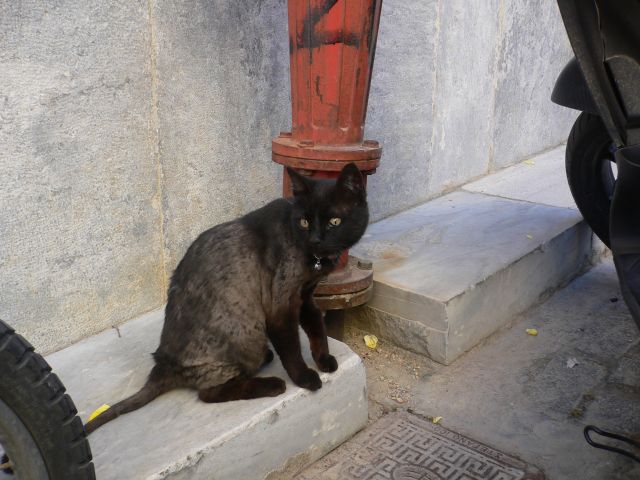 P1170280