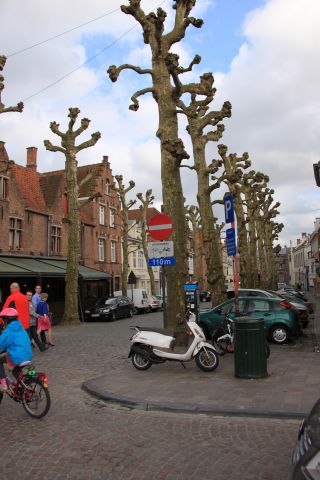 IMG_0420.JPG