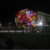 IMG 7531