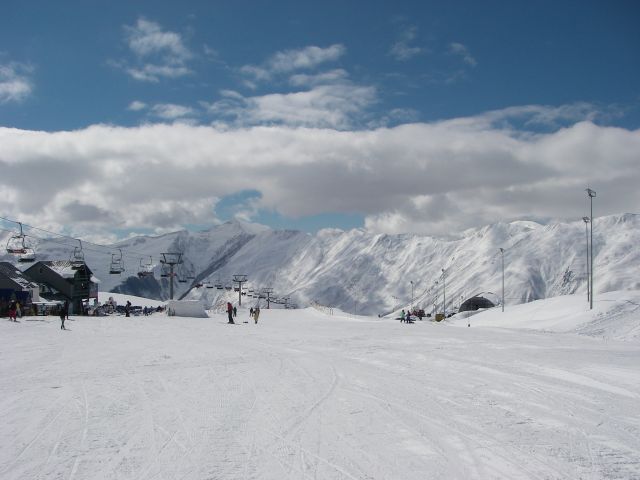 IMGP0047