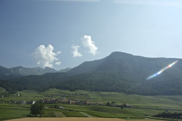 DSC00079