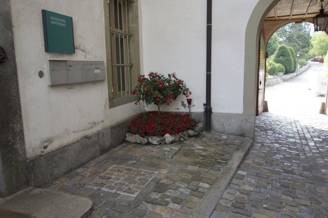 DSC00777.jpg