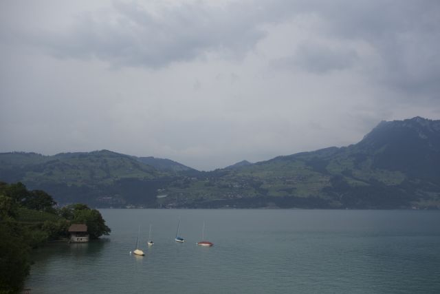 DSC00768.jpg