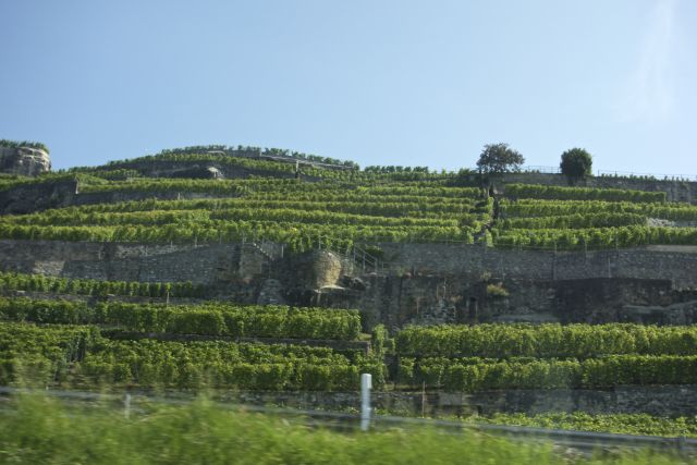 DSC00077
