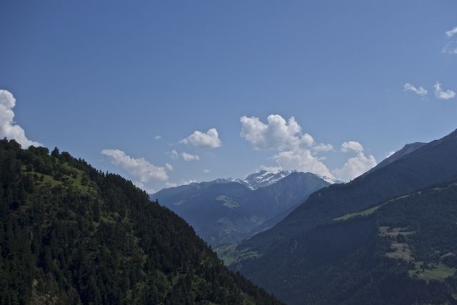 DSC01118
