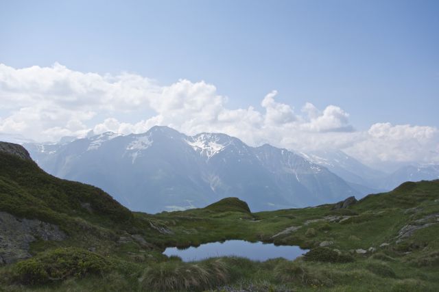 DSC00922.jpg