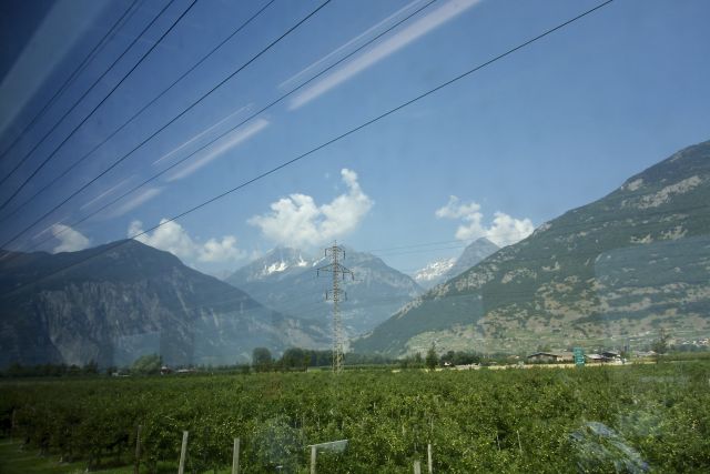 DSC00084