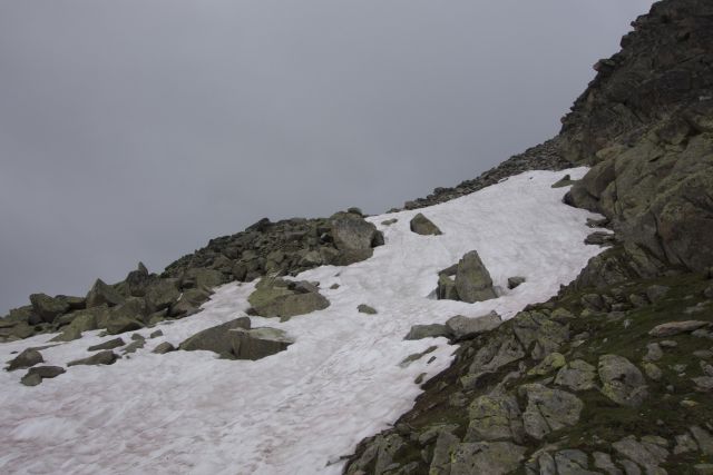 DSC00696.jpg