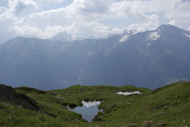 DSC00906.jpg