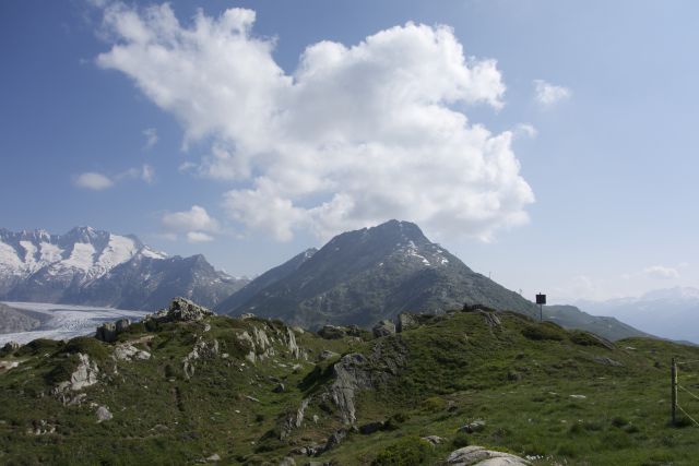 DSC00846.jpg