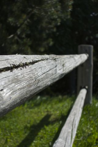 DSC00227