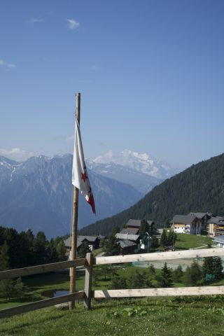 DSC00815.jpg
