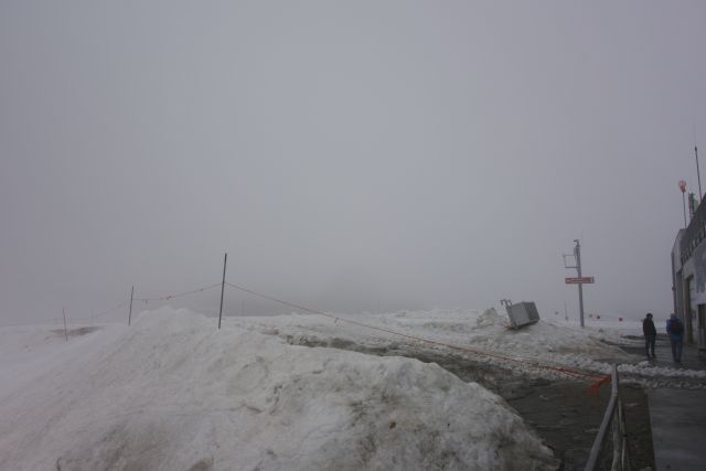 DSC00454.jpg