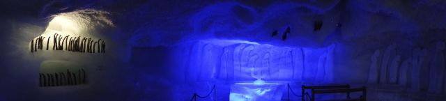 DSC00515.jpg