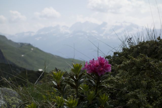 DSC00898.jpg