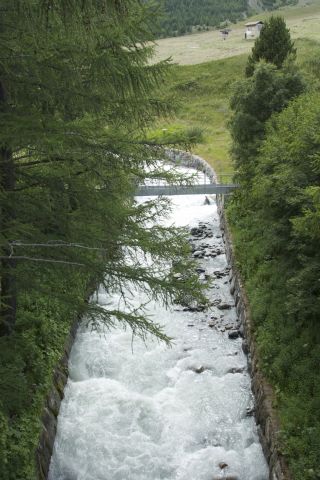 DSC00589.jpg
