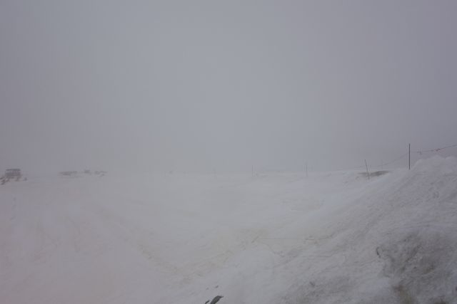 DSC00453.jpg