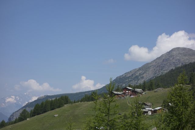 DSC00309.jpg