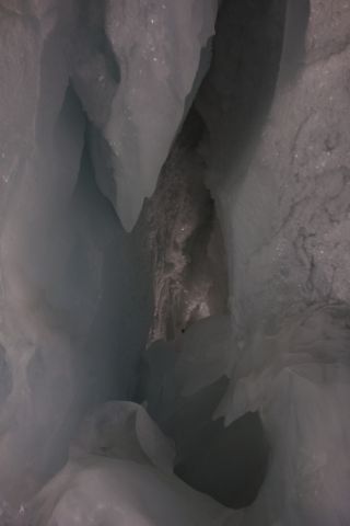 DSC00516.jpg