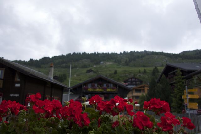 DSC00650.jpg