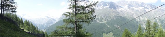 DSC00305.jpg